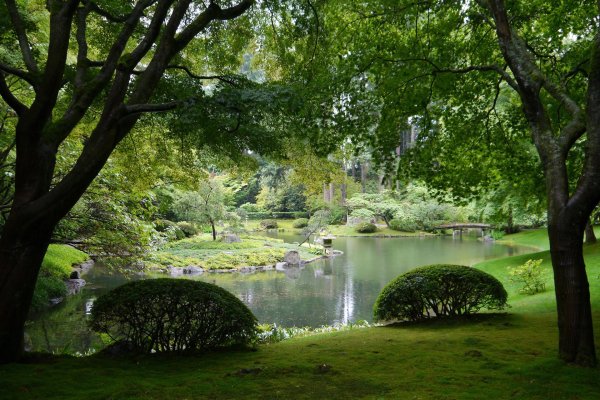 сад трокадеро пруд