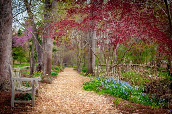 весной в парке владимир евстюков