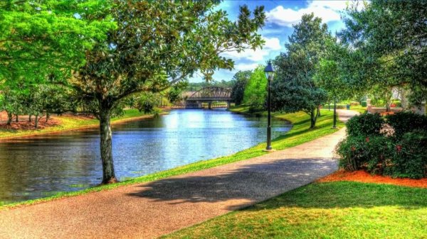 летний парк