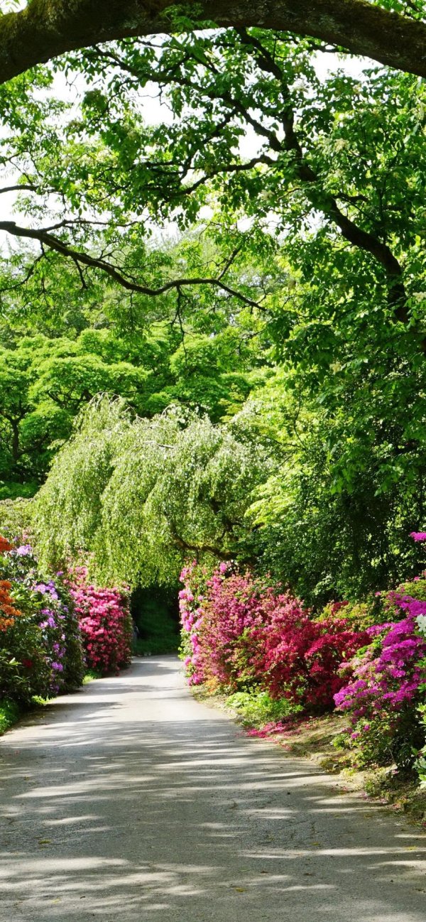 красивые сады