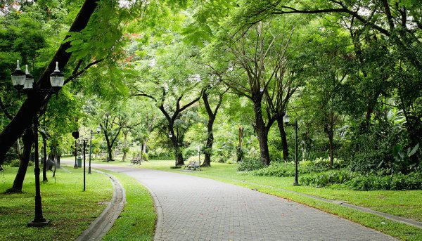 арк зелёный сквер бараул