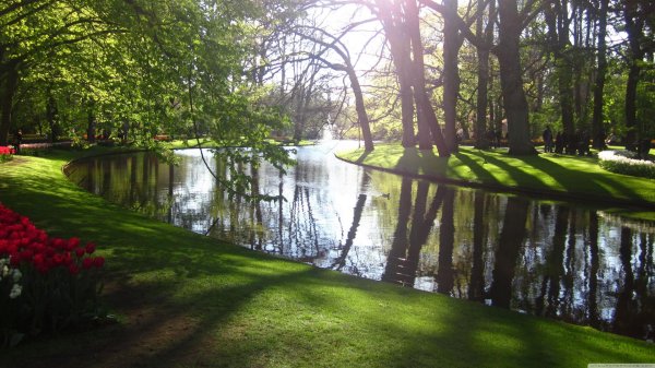 кекенхоф нидерланды