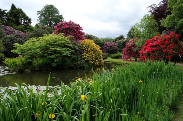 сады эксбери великобритания