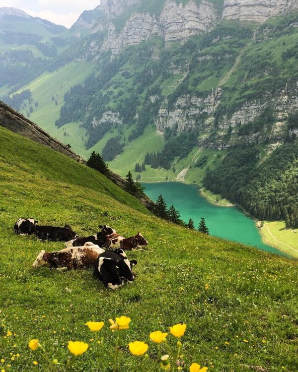 швейцария красивые места