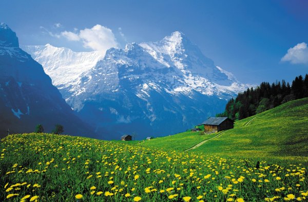 швейцарские альпы