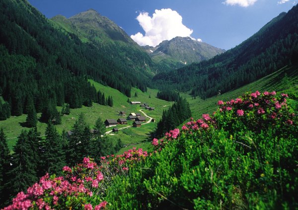 австрия деревня тироль