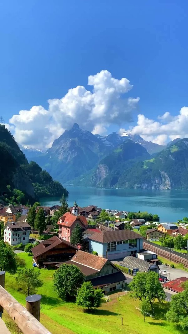 зизикон швейцария