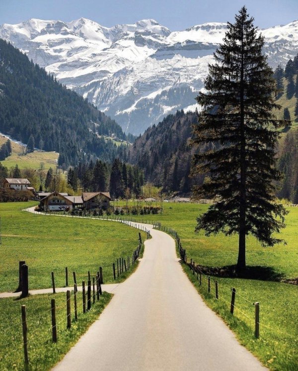 гриндевальд швейцарии