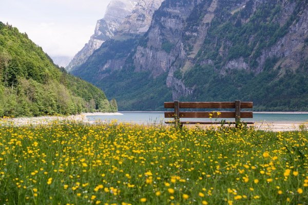 landscape with mountain and lake