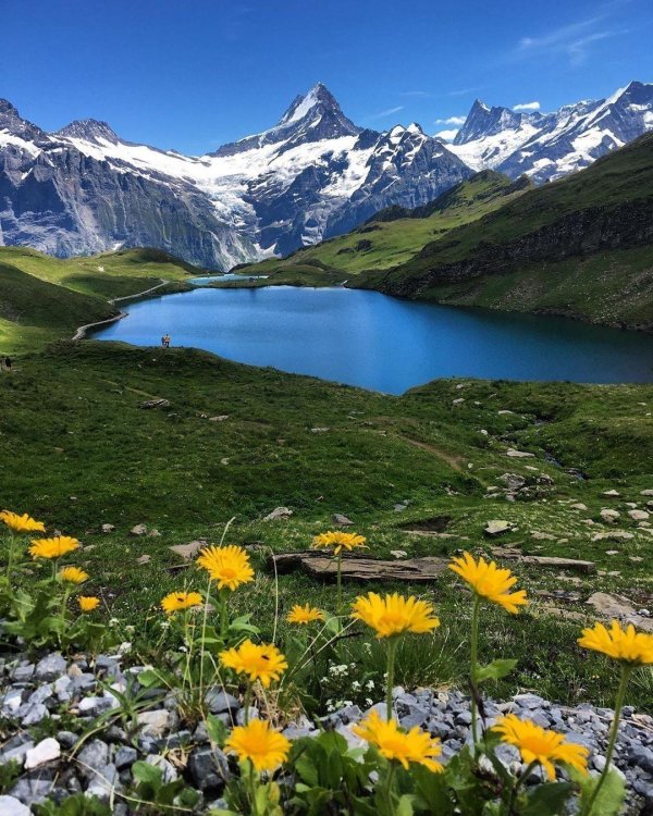 switzerland jungfrau