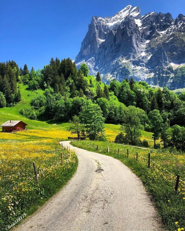 табиат манзараси