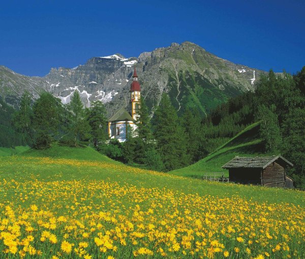 альпийские луга германии