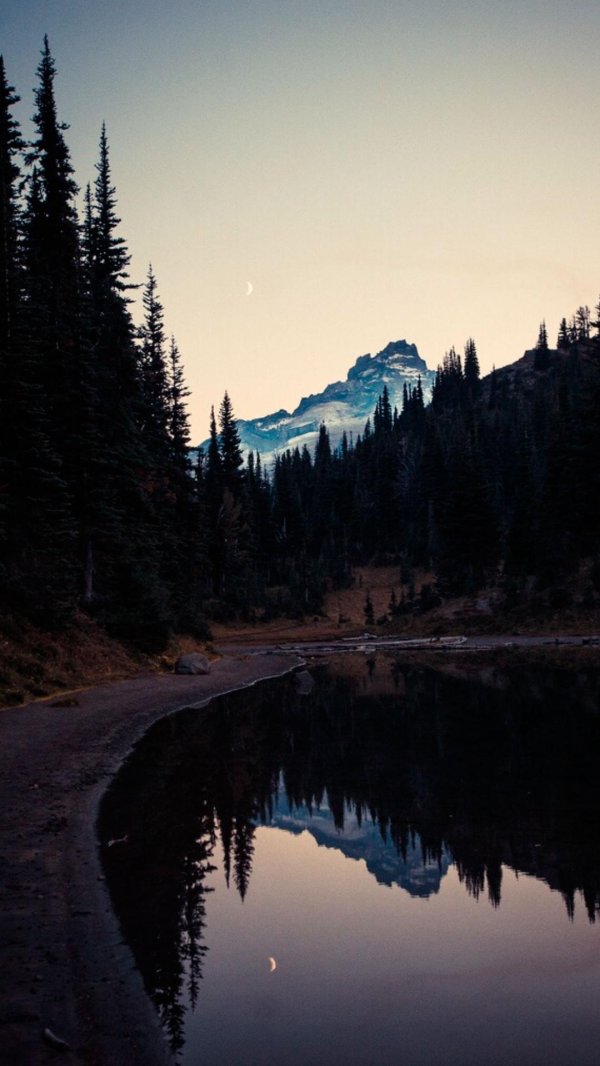 природа темная