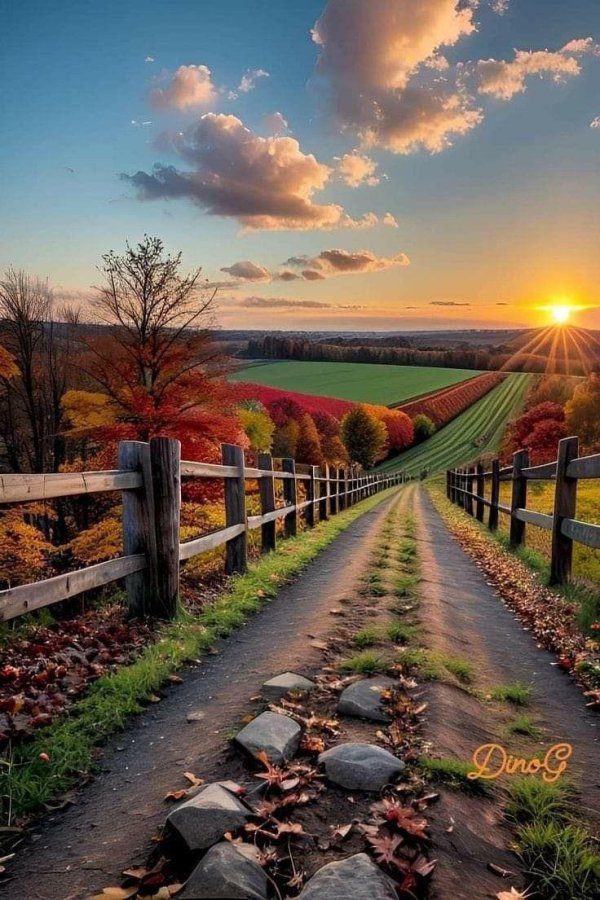 деревенский пейзаж