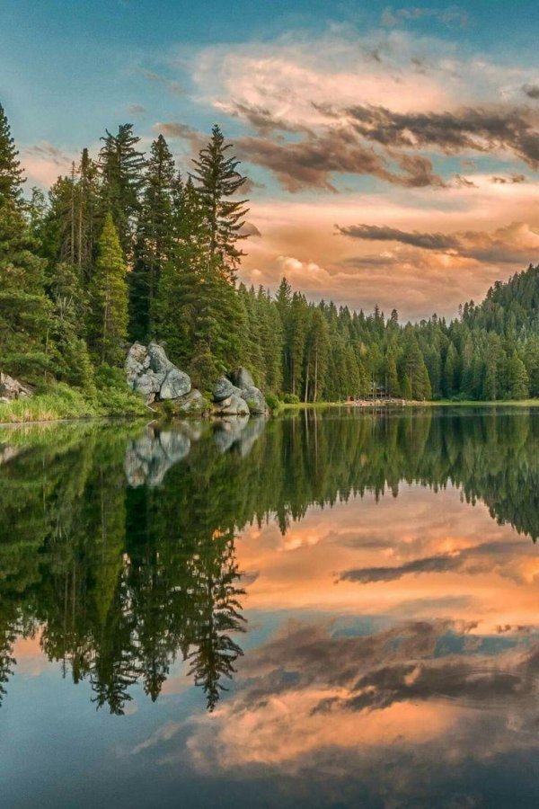 красивые лесные озера