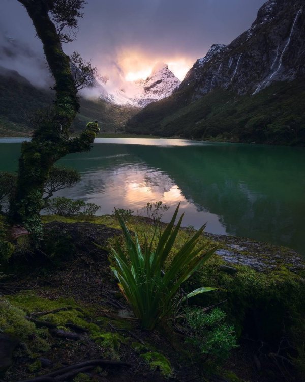 фьорд милфорд саунд