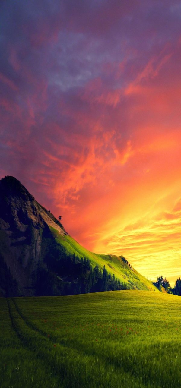 закат на поле