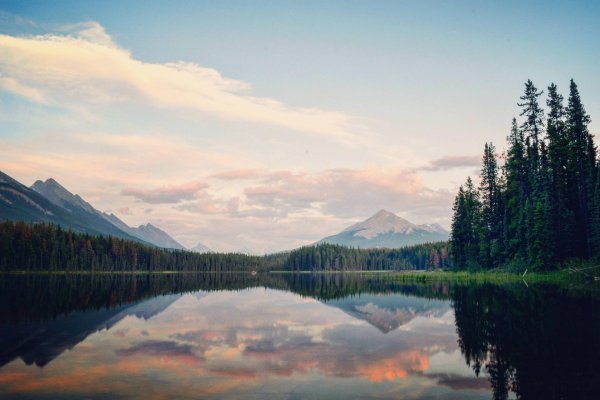 природа красивая