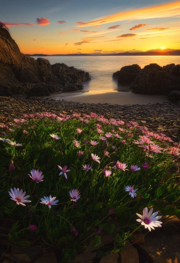 пейзажи море