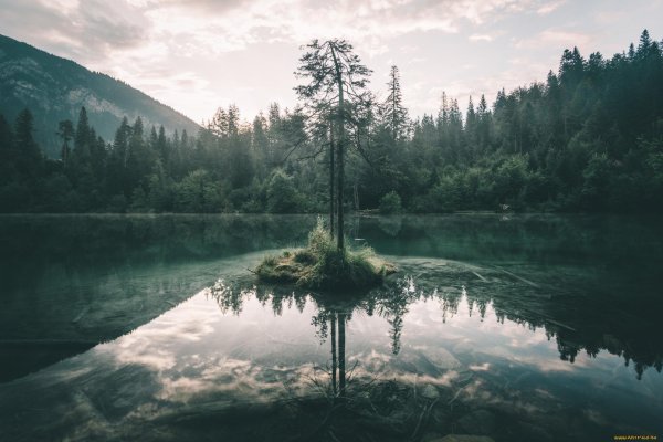 скандинавия лес шварцвальд