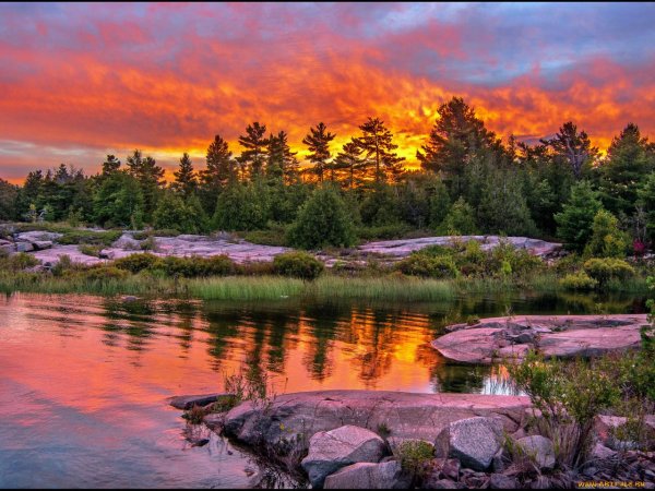 красота природа