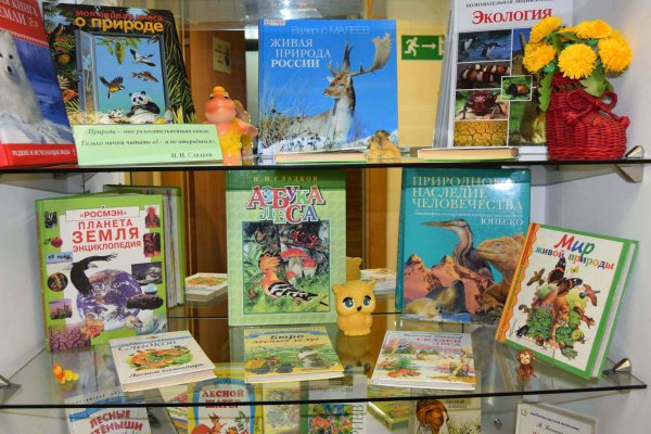 книжная выставка