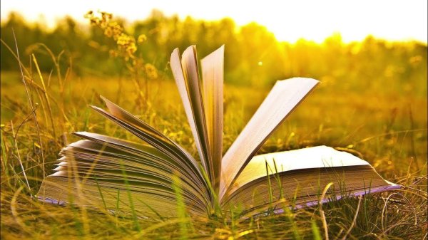 лето с книгой