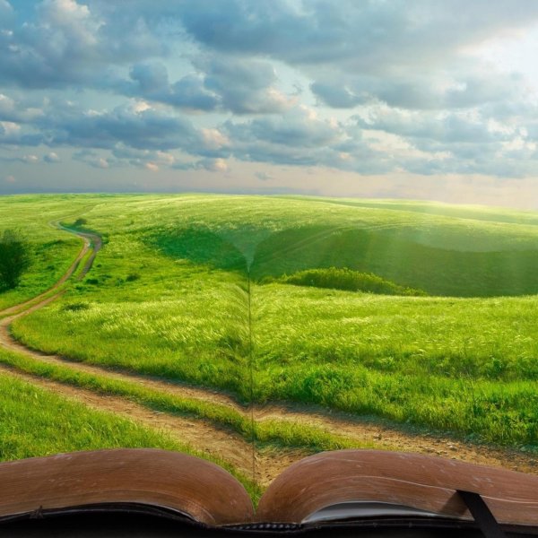 дорога к счастью