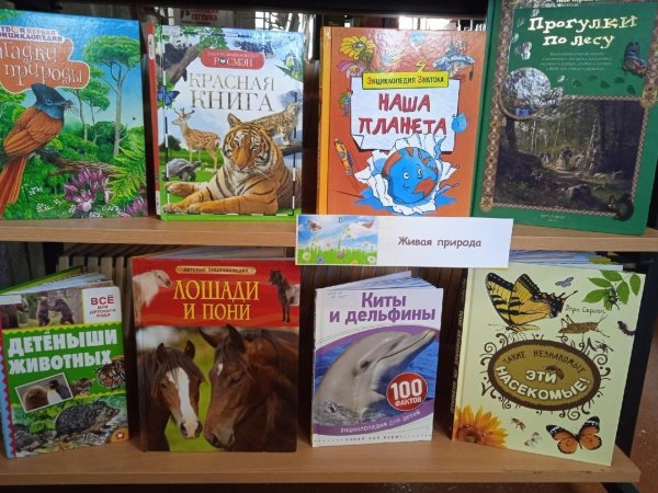 книжная выставка о животных