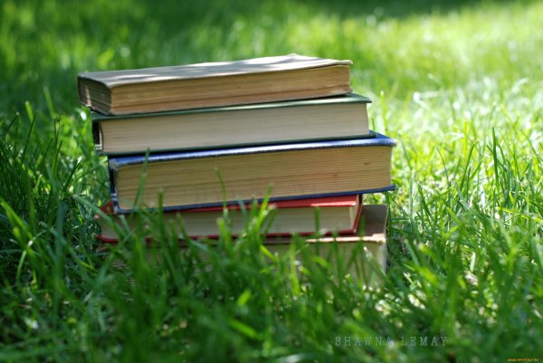 книги стопка