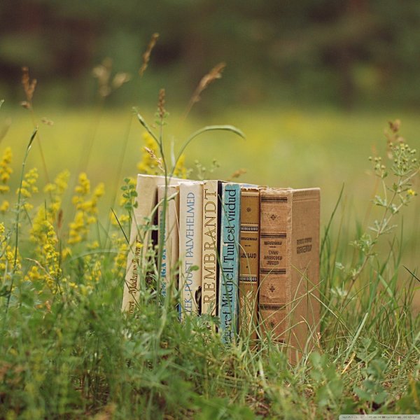 летние книги