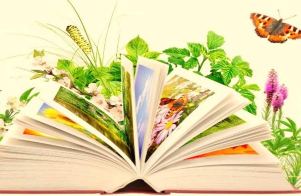 праздник книги