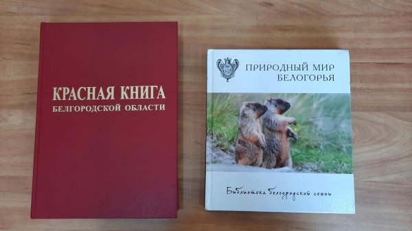 животные красной книги белгородской области