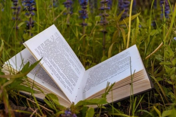 раскрытая книга