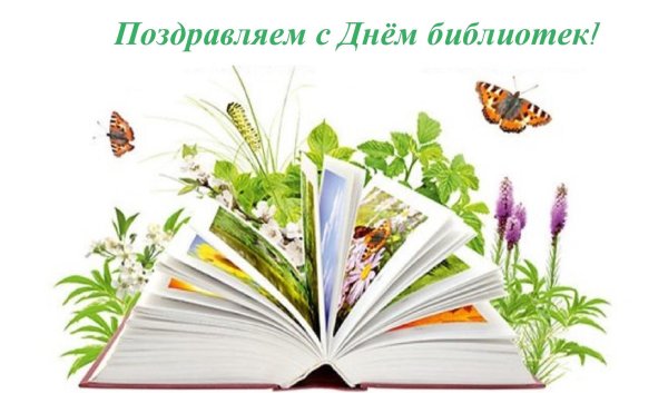 27 мая общероссийский день библиотек