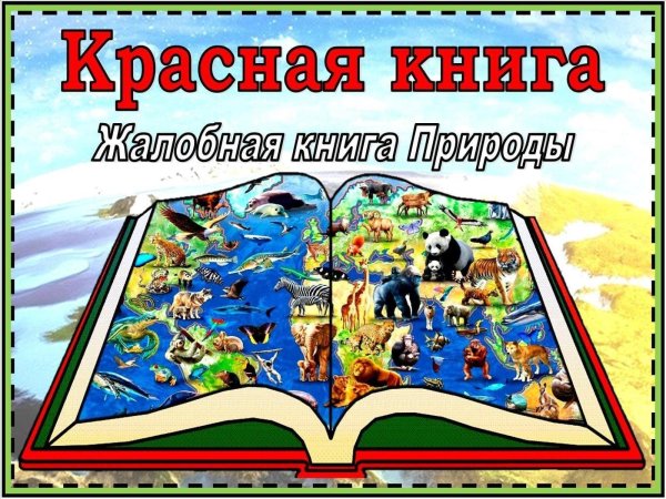 почему красная книга называется красной