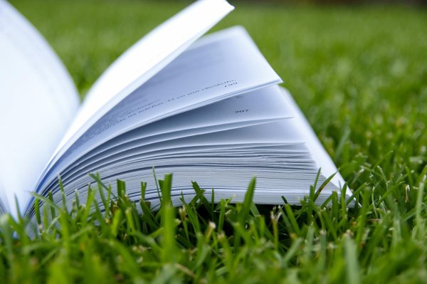 открытая книга