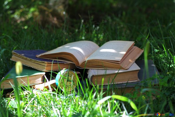 раскрытая книга