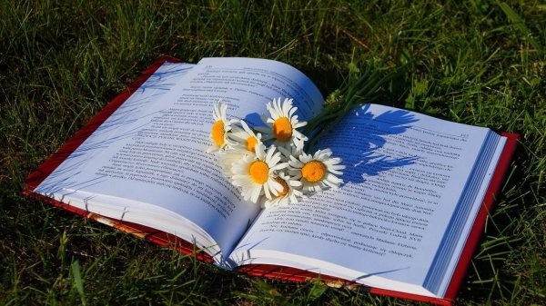 цветы книги