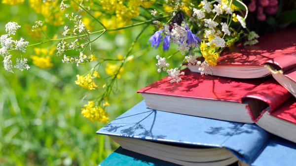 книга и цветы