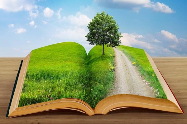 день экологический знаний