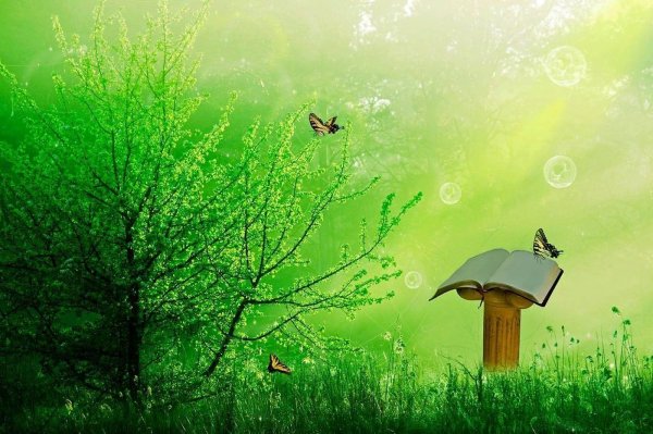 обложка природа