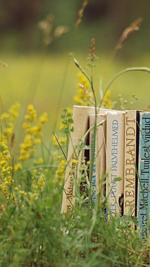 фон с книгами