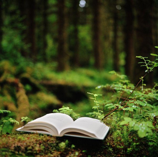 книги на фон