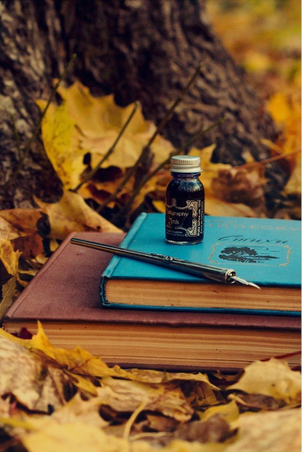 чернила manuscript