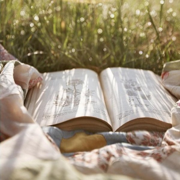 фотосессия с книгами