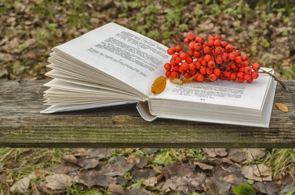 осеннее чтение