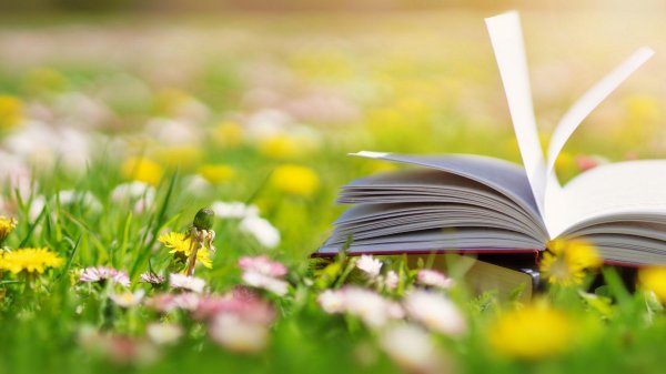 чтение летом