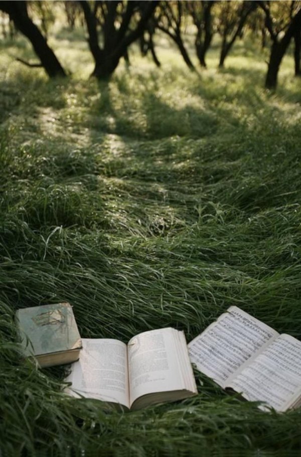 чтение на природе