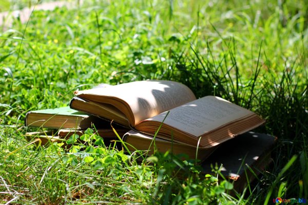 открытая книга